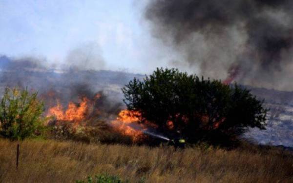 Υπό έλεγχο η πυρκαγιές στην Ηλεία - Οριοθετημένη στο Ελληνοχώρι Κορινθίας