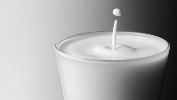 Ευοίωνες οι προοπτικές της αγοράς κατσικίσιου γάλακτος