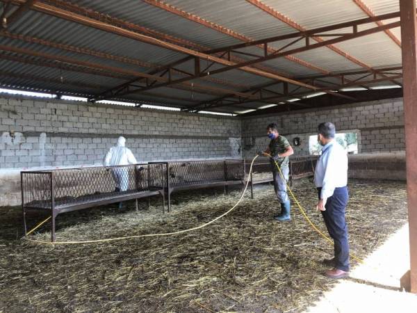 Ενημέρωση για τον καταρροϊκό πυρετό ζητούν οι κτηνοτρόφοι