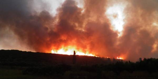 Μεγάλη πυρκαγιά στην Εύβοια - Εκκενώνονται προληπτικά δύο χωριά (βίντεο)
