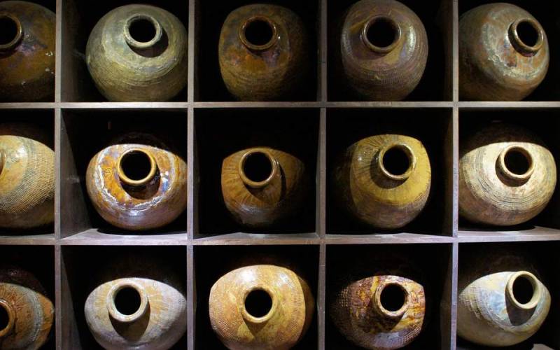 Μελέτη: Oι… πρόγονοι του Αστερίξ έπιναν ελληνικό κρασί