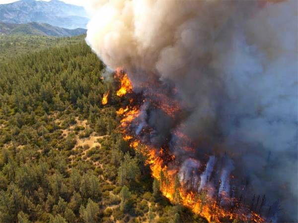 WWF Ελλάς: 40% των πυρκαγιών κάθε χρόνο από αμέλεια