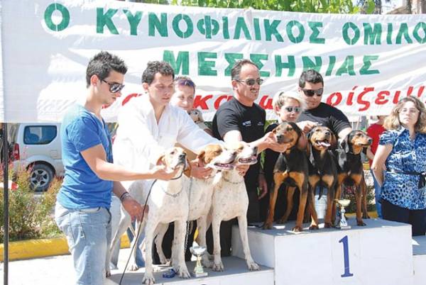 Πανελλήνια Εκθεση Μορφολογίας Σκύλων αύριο στην Καλαμάτα
