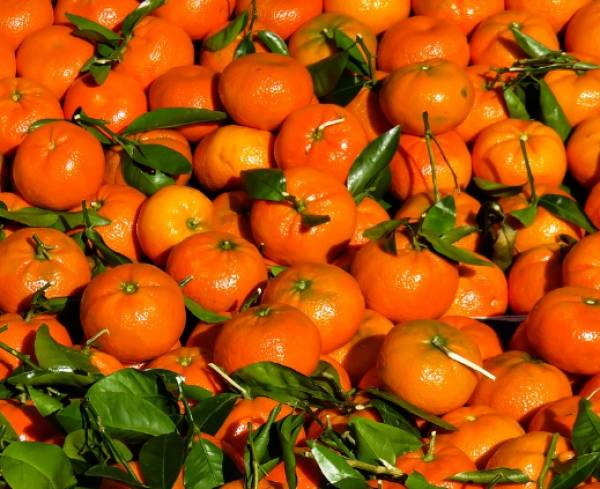 Αύξηση στις εξαγωγές φρούτων και λαχανικών