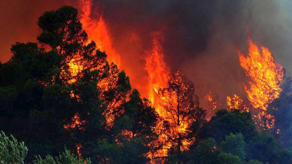 Σε εξέλιξη δύο πυρκαγιές στην Ηλεία
