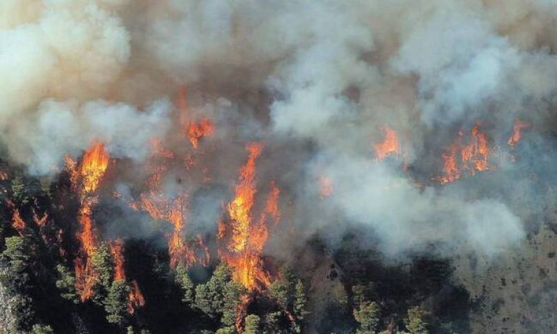 Ερώτηση Χαρίτση για πρόληψη δασικών πυρκαγιών