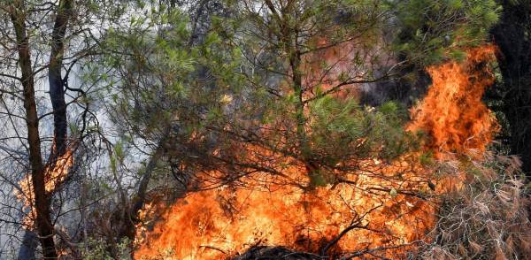 Φωτιά στην Αχαΐα: Καίγεται ξανά η περιοχή Ζήρια - Εκκενώνεται οικισμός