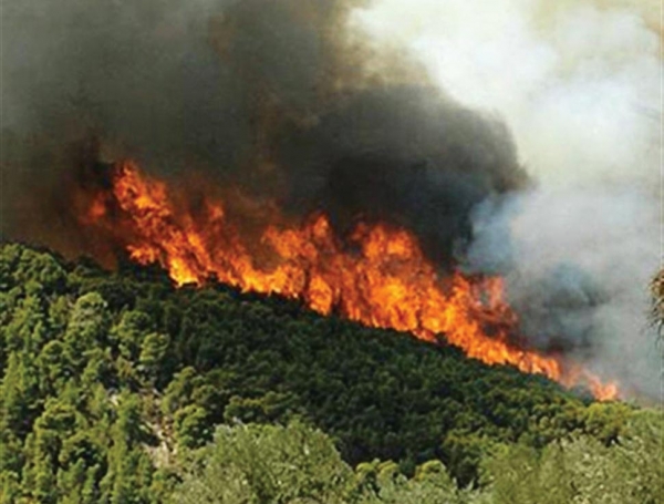 Σε ύφεση η πυρκαγιά στη Σκάλα Λακωνίας 