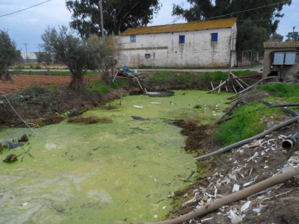 Ελλειψη νερού στις  καλλιέργειες του Μπουρνιά