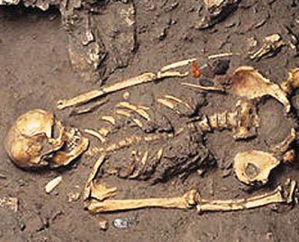 Ανθρώπινοι σκελετοί σε κτήμα στη Βανάδα Τριφυλίας