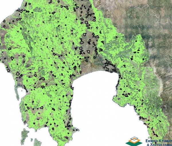Κινδυνεύουν επιδοτήσεις 139.683 στρεμμάτων στη Μεσσηνία λόγω… δασικών χαρτών 