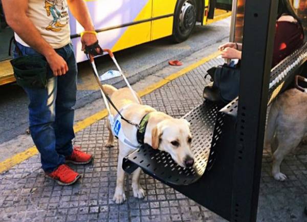 Ντροπή! Οδηγός λεωφορείου κάλεσε την Αστυνομία επειδή τυφλή ανέβηκε με το σκύλο της!