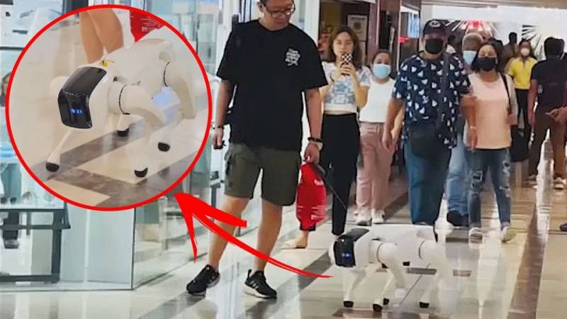 Όταν βγάζεις βόλτα τον ...ρομποτικό σου σκύλο