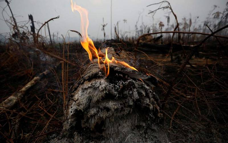 Βραζιλία: Εκατοντάδες νέες φωτιές στη ζούγλα του Αμαζονίου - Κορυφώνεται η παγκόσμια αγωνία (Βίντεο)
