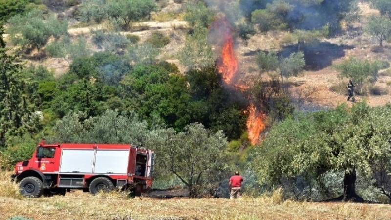 Φωτιά στη Σαλαμίνα - Προληπτική εκκένωση σπιτιών για λόγους ασφαλείας
