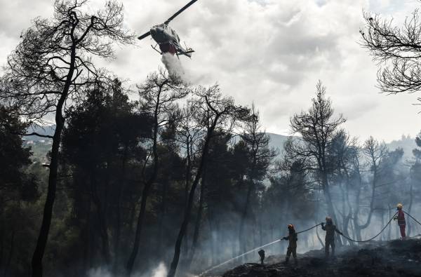 Μέσα στον Αύγουστο οι δασικές πυρκαγιές κατέστρεψαν 1,2 εκατ. στρέμματα – Από την αρχή του έτους κάηκαν 1,7 εκατ. στρέμματα