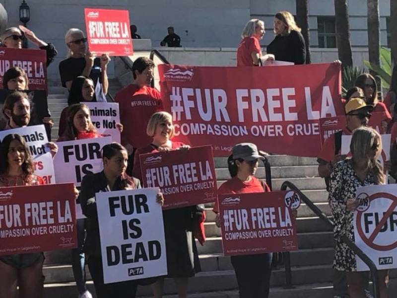 Η δημοτική αρχή του Λος Άντζελες ενέκρινε απαγόρευση της γούνας από το 2021