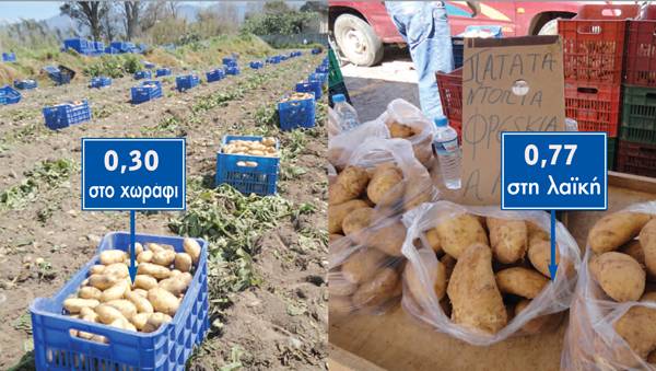 Λαμπρόπουλος: &quot;Η κυβέρνηση δεν εμπόδισε τις εισαγωγές πατάτας&quot; 