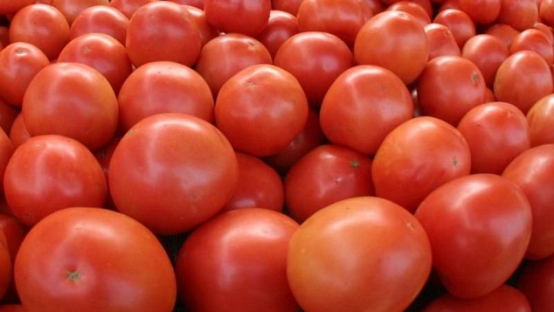 Δέσμευση 8 τόνων ντομάτας Πολωνίας σε επιχείρηση στου Ρέντη