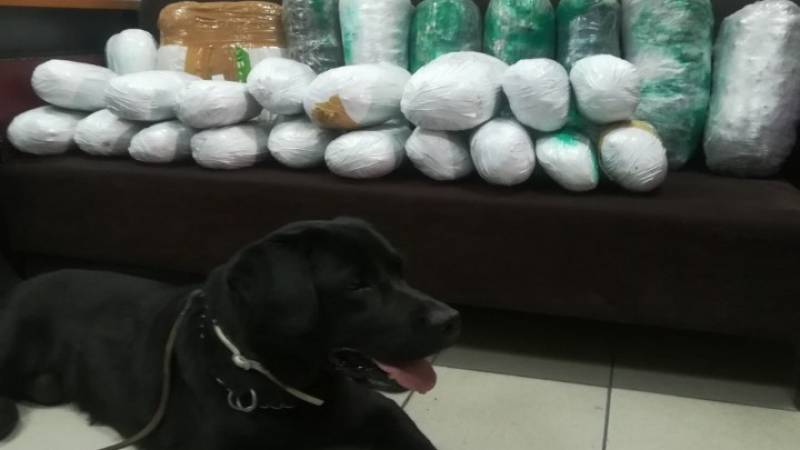 Θεσσαλονίκη: Περισσότερα από 22 κιλά κάνναβης εντοπίστηκαν με τη συνδρομή αστυνομικού σκύλου