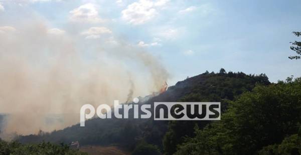 Ηλεία: Πυρκαγιά σε δασική έκταση στην περιοχή Μαζαράκι Πηνείας
