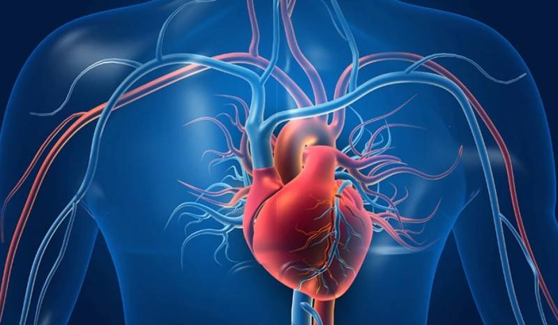 Οι 6 κατηγορίες τροφίμων «κλειδί» για μικρότερο κίνδυνο καρδιαγγειακής νόσου