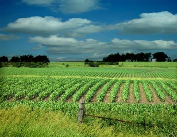 Ζητούμενο η γεωργική και εξαγωγική πολιτική