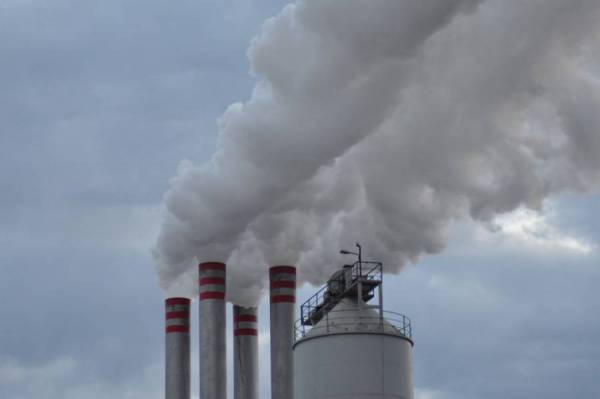 Μόνο ένα πυρηνελαιουργείο της Μεσσηνίας συνεργάζεται με τις αρχές για τη μείωση των ρύπων