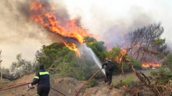 Φωτιά σε προστατευόμενη δασική έκταση στην περιοχή Καλόγρια της δυτικής Αχαΐας
