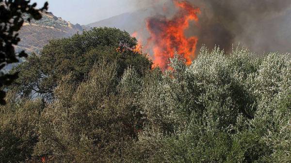 Τριάντα εννέα δασικές πυρκαγιές σε όλη την Ελλάδα, το τελευταίο 24ωρο