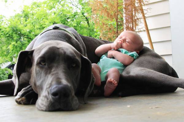 22 μικρά παιδιά με τα μεγάλα σκυλιά τους