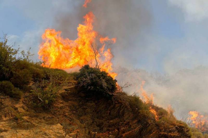 Επικίνδυνο καλοκαίρι για τον Ταΰγετο σύμφωνα με το δασάρχη Καλαμάτας