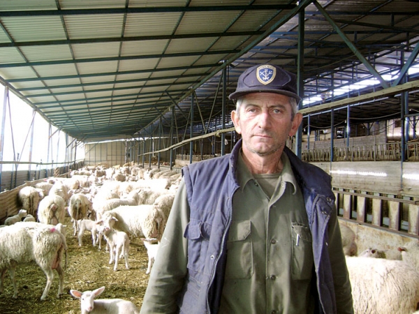 Σύγχρονη μονάδα κτηνοτροφίας στο Κάκαβα από τον Κώστα Ματζούνη