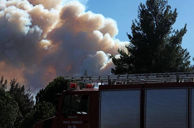 Îεγάλη άÏκηÏη δαÏÎ¹ÎºÎ®Ï ÏÏ
ÏÎºÎ±Î³Î¹Î¬Ï ÏÏον ΤαΰγεÏο