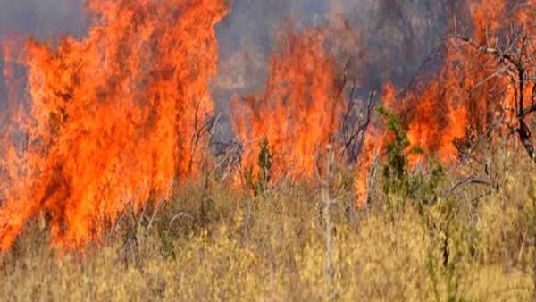 Πολύ υψηλή επικινδυνότητα δασικών πυρκαγιών το τριήμερο 9 - 11 Αυγούστου