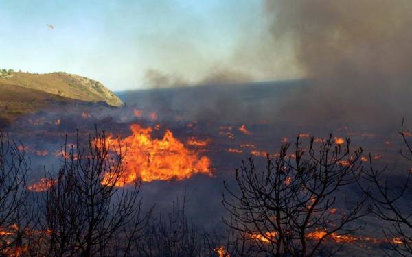 Φωτιά σε δασική έκταση στην Μεταξάδα