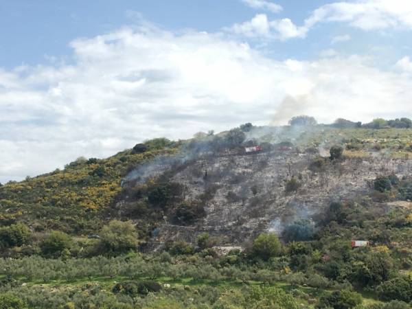 Εφτά στρέμματα δασικής έκτασης έκαψε η φωτιά στις Βρύσες Κυπαρισσίας