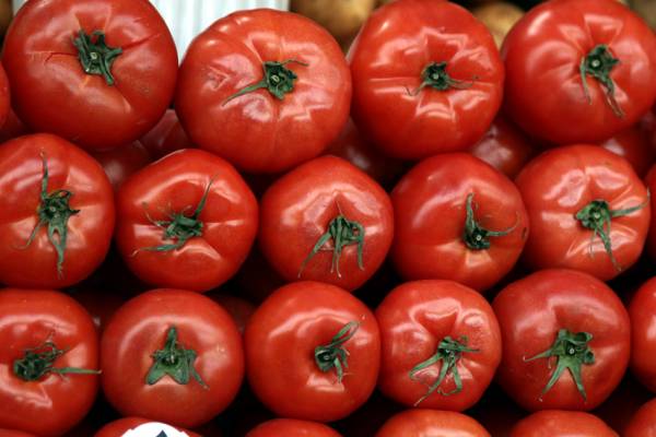 Κατάσχεση 2,3 τόνων ακατάλληλης ντομάτας σε επιχείρηση του Πειραιά