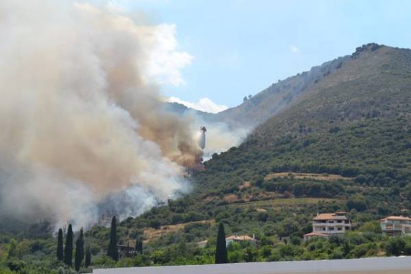 Μεσσηνία: 40 στρέμματα έκαψε φωτιά στους Ανω Μπλεμενιάνους