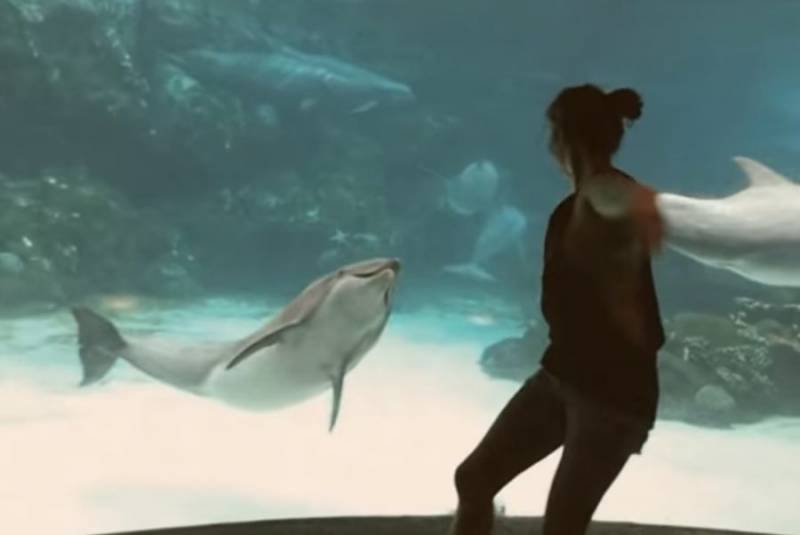 Το κορίτσι που καταφέρνει και κάνει ένα δελφίνι να «χαμογελάσει» (Βίντεο)